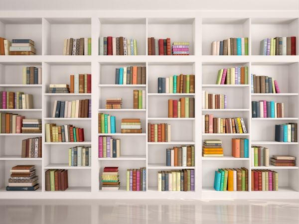 Bookshelf Assembly in San Luis Obispo