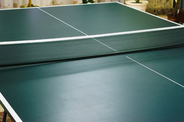 Ping Pong Table Assembly in San Luis Obispo